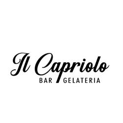 BAR - GELATERIA CAPRIOLO S.N.C. DI BONINI MICHELE E C.