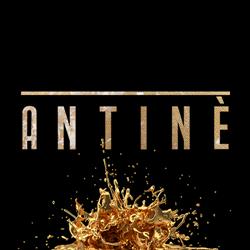 Ristorante Antine'