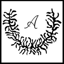 Ristorante Arcieri