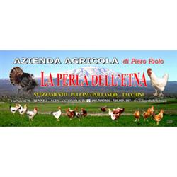 Azienda Agricola La Perla dell'Etna eredi di Riolo Pietro