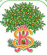 Rindone Santi (Dr.)