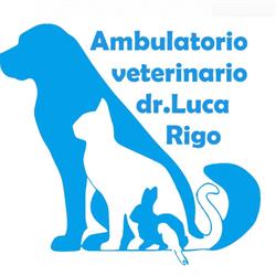 Clinica Veterinaria dott. Rigo Luca
