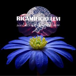 Ricamificio Levi Srl