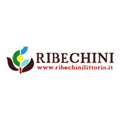 Ribechini Littorio e C.