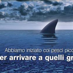 Reef International Sas Di Zibetti Paola & C.