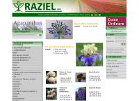 Raziel (Srl)