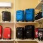 Gallery Professionale