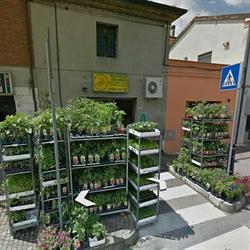 Ravaglia Gerardo Di Ravaglia Claudio