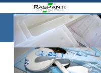Raspanti SRL