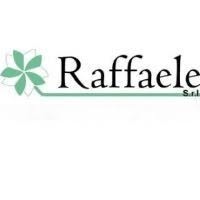 Raffaele SRL