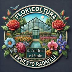 Radaelli Ernesto