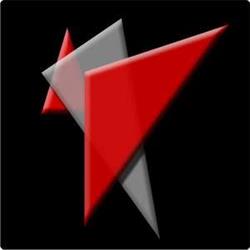 R.D.S. SRL
