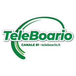 R.b.1. Teleboario (Srl)