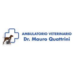 Ambulatorio Veterinario Quattrini Dr. Mauro