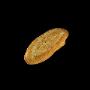 Pane