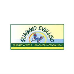 Quaggio Evellino Spurgo Pozzi Neri