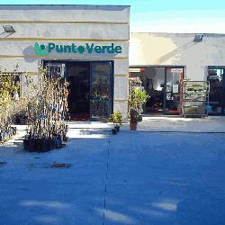Punto Verde