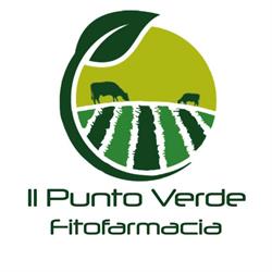 Punto Verde