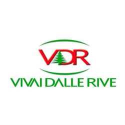 Punto Verde Dalle Rive