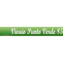 Punto Verde 85