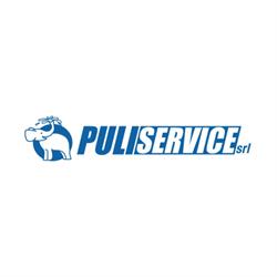 Puliservice