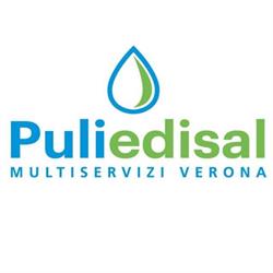 Puliedisal (Srl)