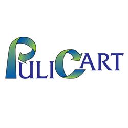Pulicart di Donato R. e C. Sas