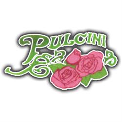 Pompe Funebri Pulcini Valentino