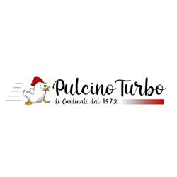 Pulcino Turbo Di Cardinali Roberto