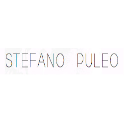 Pittore Stefano Puleo
