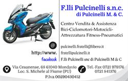 F.LLI PULCINELLI