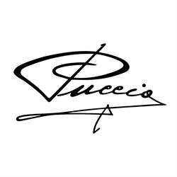 Puccio Calzature