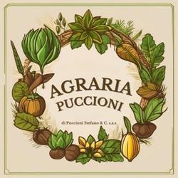 Puccioni Agraria Di Puccioni Stefano e C. S.a.s.
