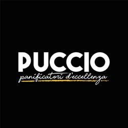 Puccio Giuseppe
