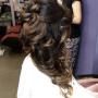 Acconciature Sposa