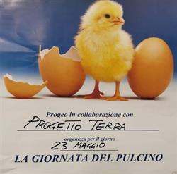 Progetto Terra Di Giglioli Riccardo