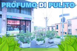 Profumo Di Pulito