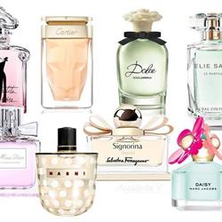 Profumeria Les Cadeaux Filomena
