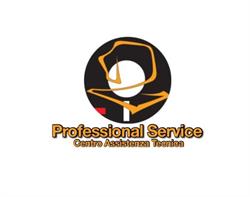 Professional Service SRL