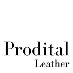 Prodital Italia (Srl)