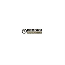 Prodigi Srl