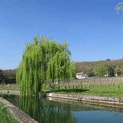 Pro Loco Di Volpago Del Montello