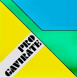 Pro Loco Gavirate