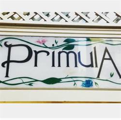 Primula Di Montuori Aniello