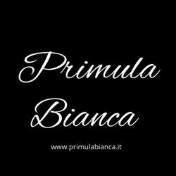 Primula Bianca