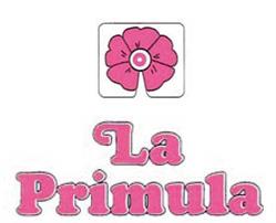 Primula SRL