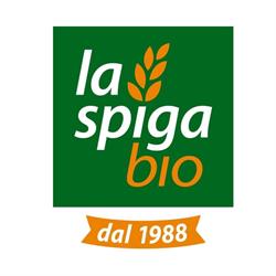 Albio SRL