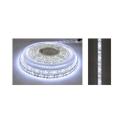 Striscia LED 5mt