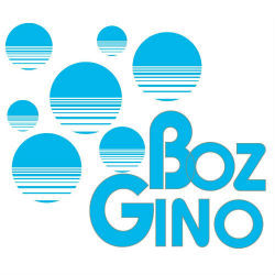 Boz Gino S.a.s. di Boz A. & C