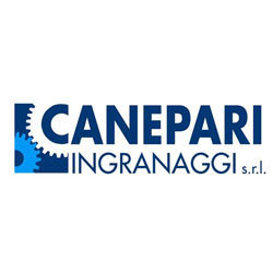 Canepari Ingranaggi Srl